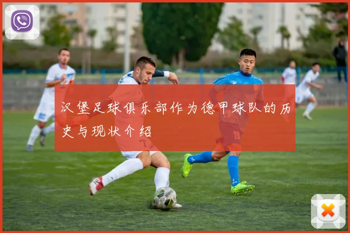 汉堡足球俱乐部作为德甲球队的历史与现状介绍