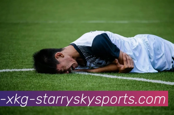 多媒体互动体验